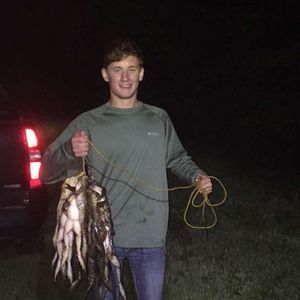 Meet your Posher, Reece